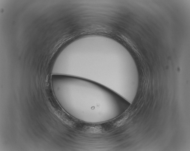 X0000083640548200703051703