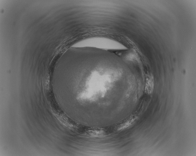 X0000083640552200703051703