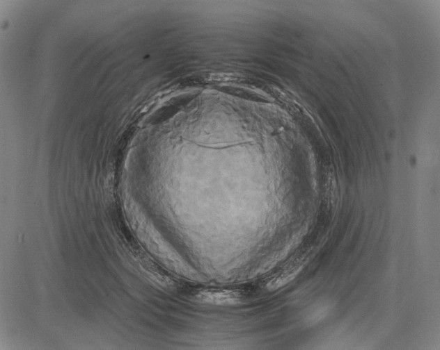 X0000083640557200703051703