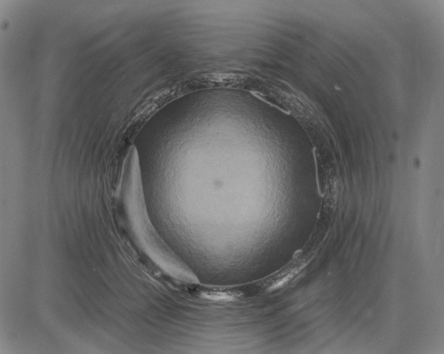 X0000083640558200703051703