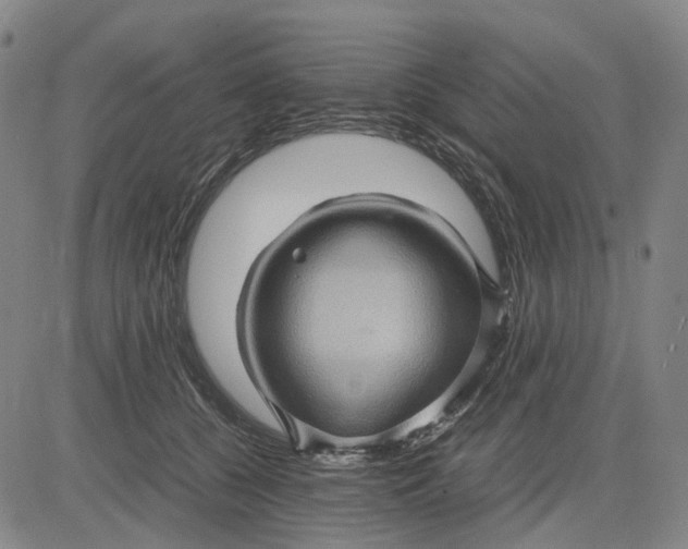 X0000083640560200703051703