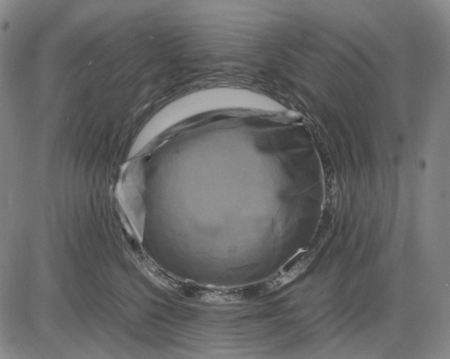 X0000083640568200703051704