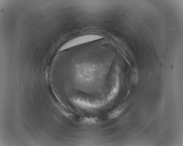 X0000083640573200703051704