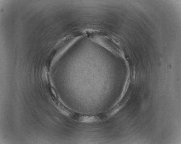 X0000083640575200703051704