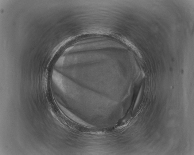 X0000083640580200703051703