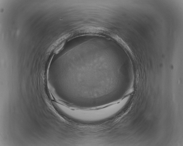 X0000083640581200703051703