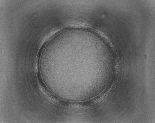X0000083640582200703051703
