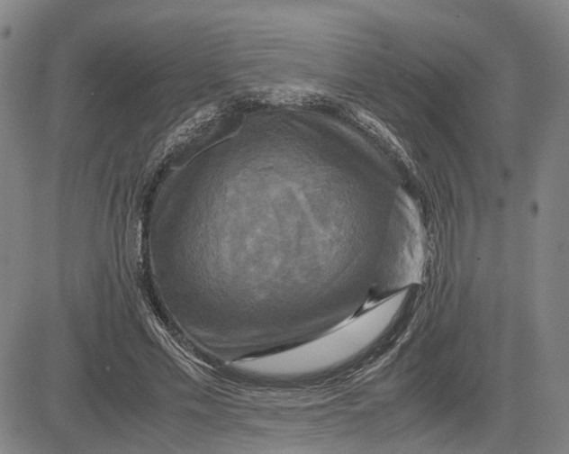 X0000083640589200703051703