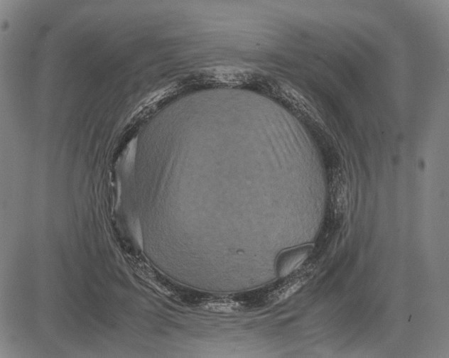 X0000083640595200703051703