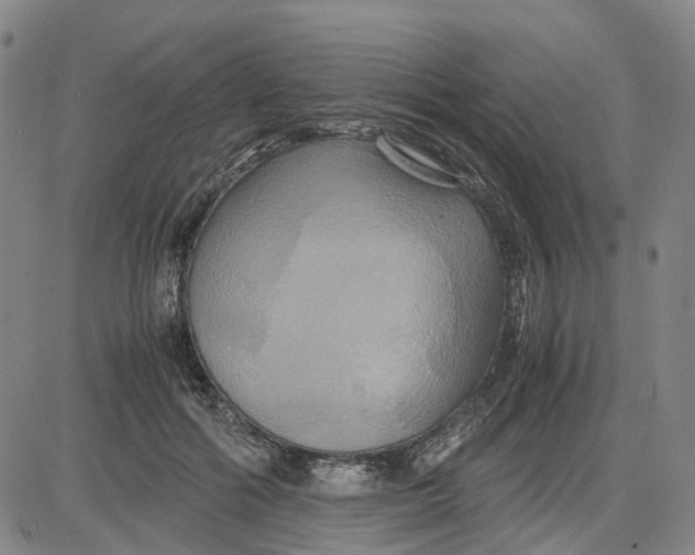 X0000083640602200703051702