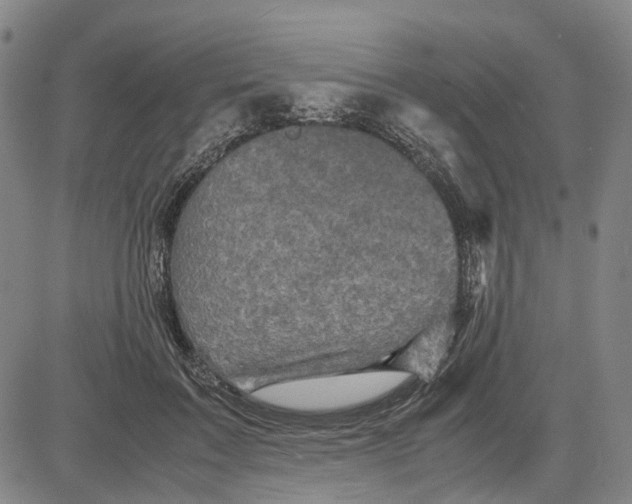X0000083640603200703051702