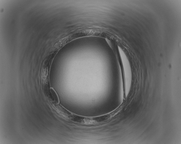 X0000083640605200703051702