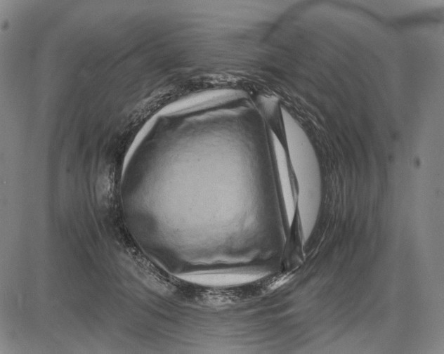 X0000083640608200703051702