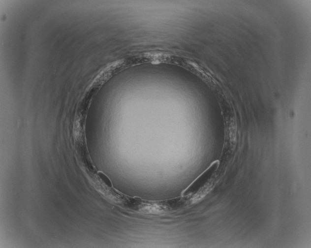 X0000083640611200703051702