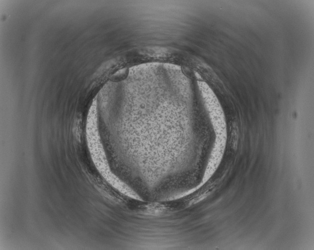 X0000083640612200703051702