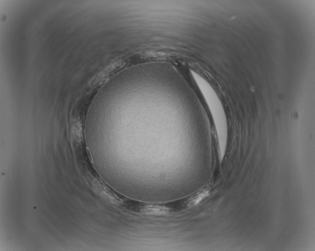 X0000083640617200703051702
