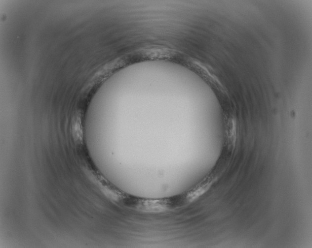 X0000083640622200703051702