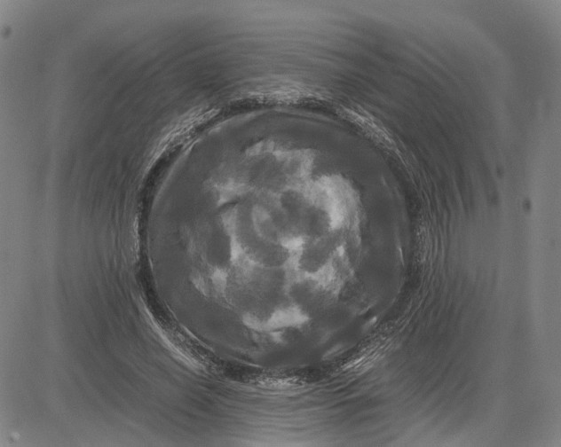 X0000083640638200703051701