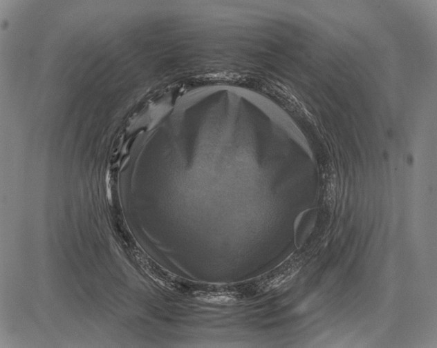 X0000083640643200703051702