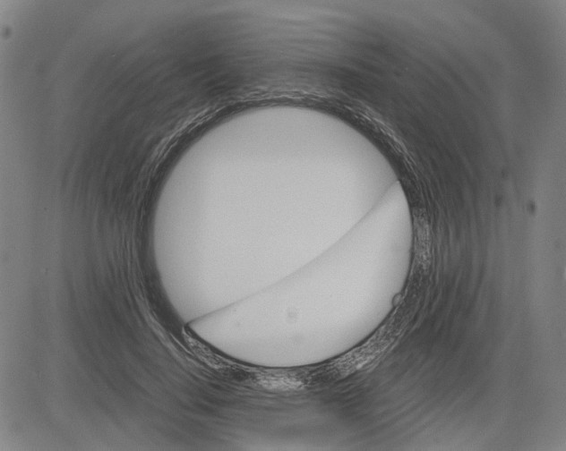 X0000083640644200703051702