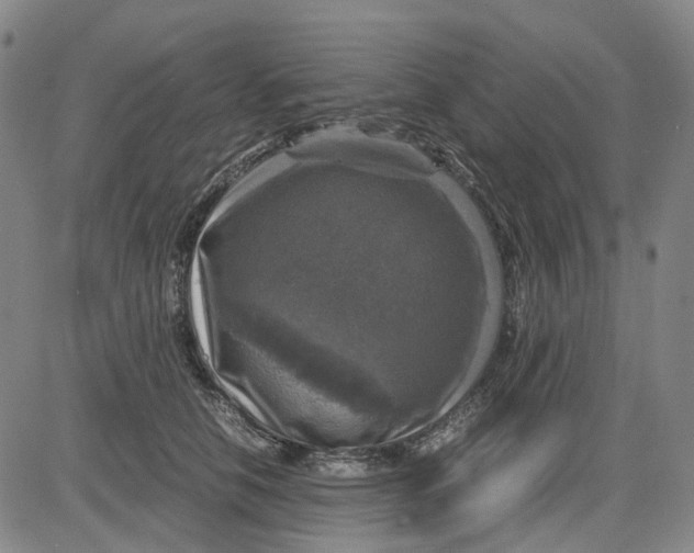 X0000083640658200703051702