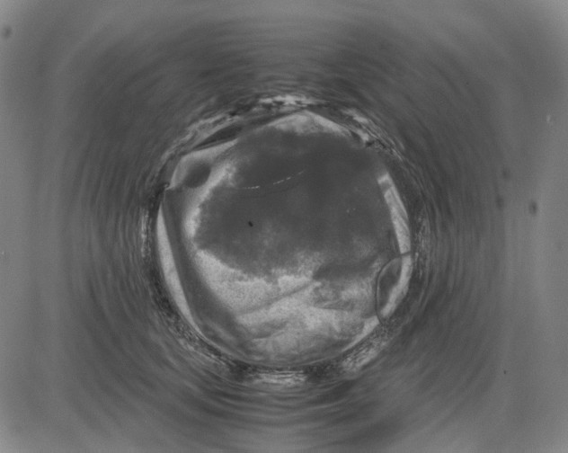 X0000083640659200703051702