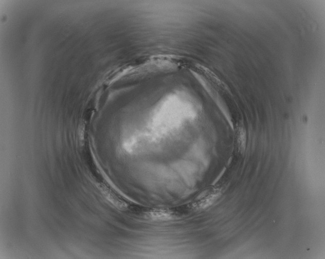X0000083640668200703051702