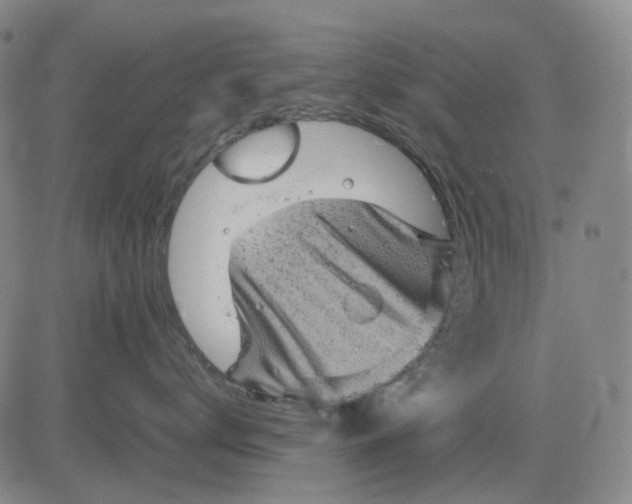 X0000083640672200703051702