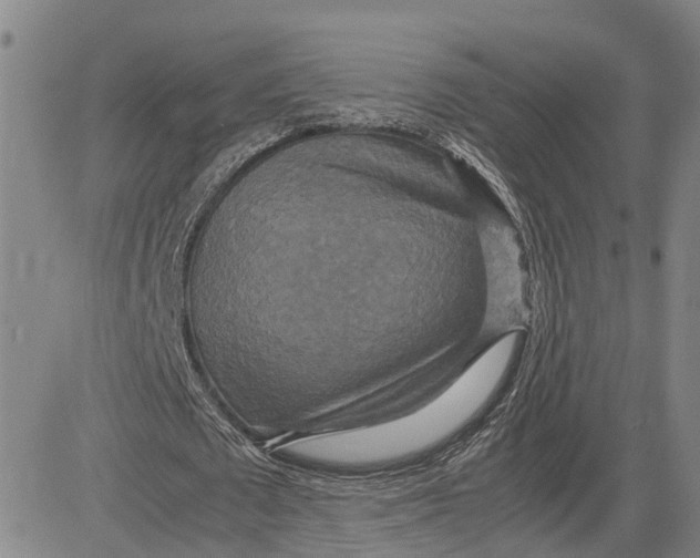 X0000083640673200703051701