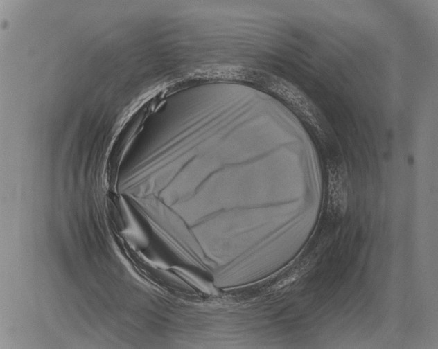 X0000083640674200703051701