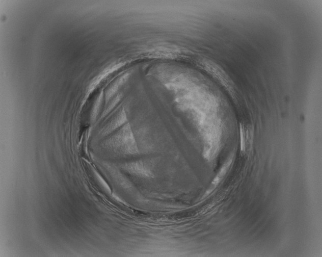 X0000083640675200703051701