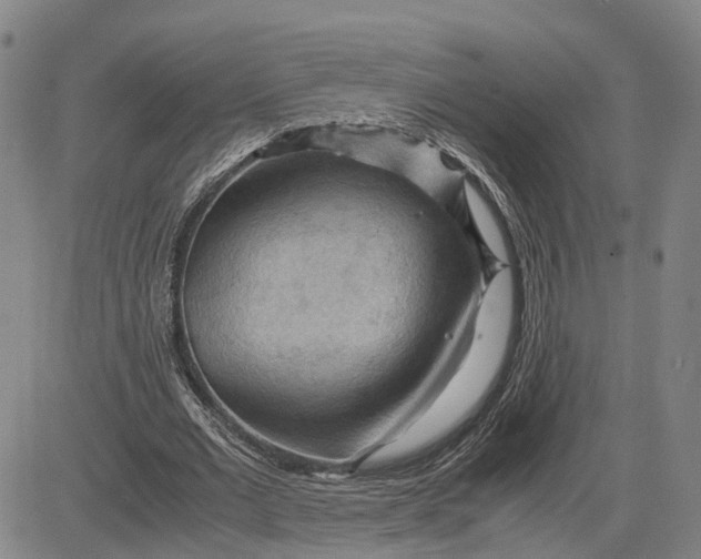X0000083640677200703051701