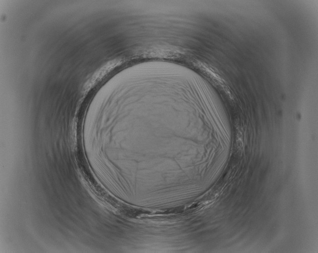 X0000083640678200703051701