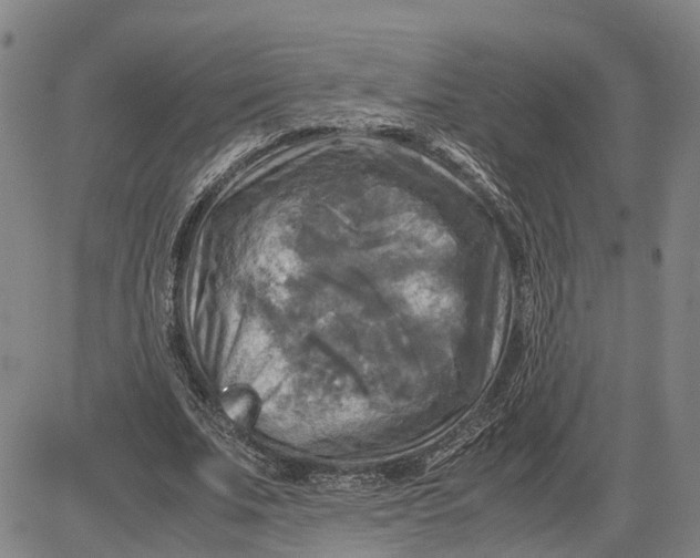 X0000083640679200703051701