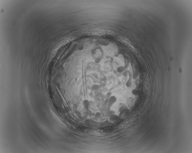 X0000083640683200703051701