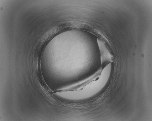 X0000083640685200703051701