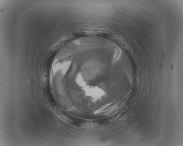 X0000083640691200703051701