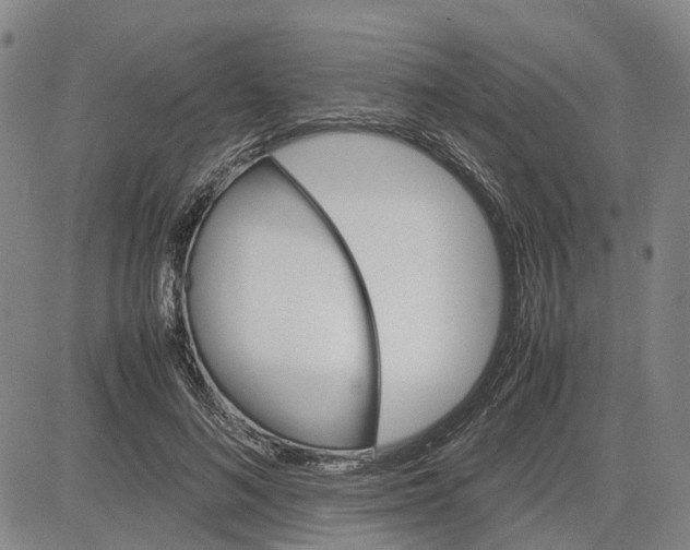 X0000083640692200703051701