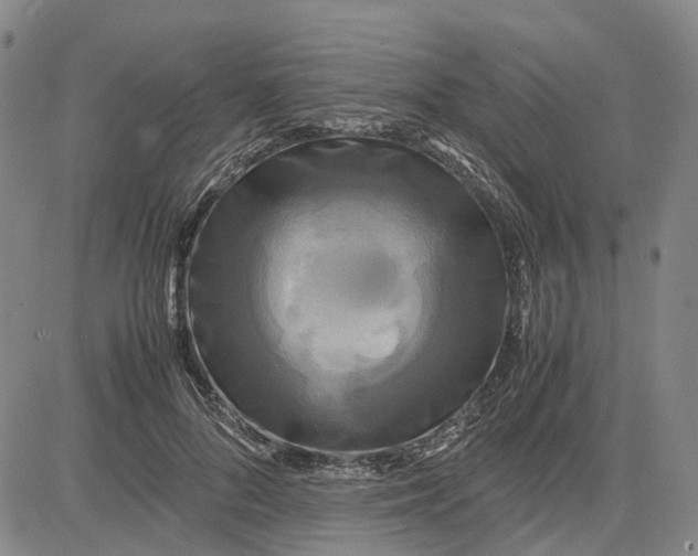 X0000083640696200703051701