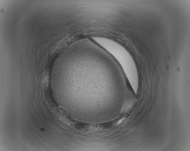 X0000083640697200703051701