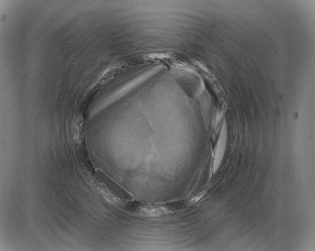 X0000083640712200703051701