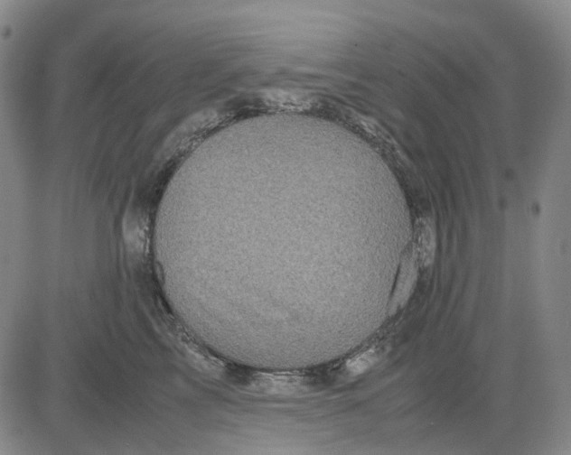 X0000083640713200703051701