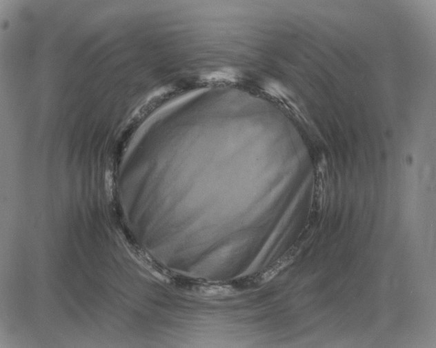 X0000083640716200703051701