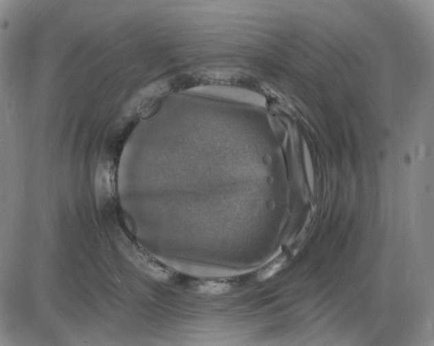 X0000083640718200703051700
