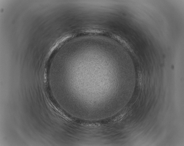 X0000083640731200703051700