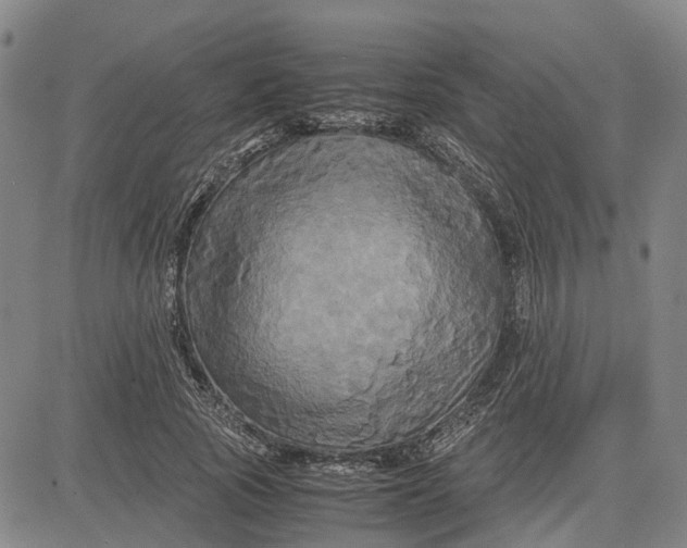 X0000083640737200703051700