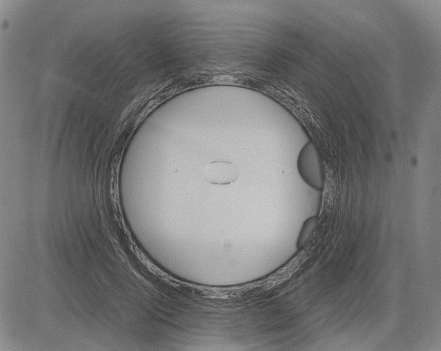 X0000083640740200703051700