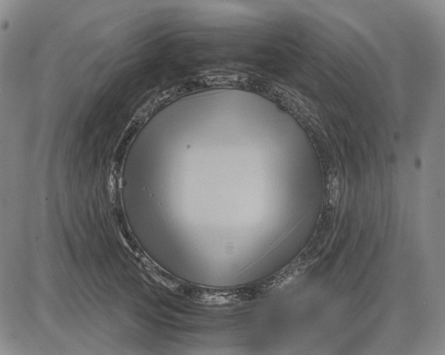 X0000083640753200703051700