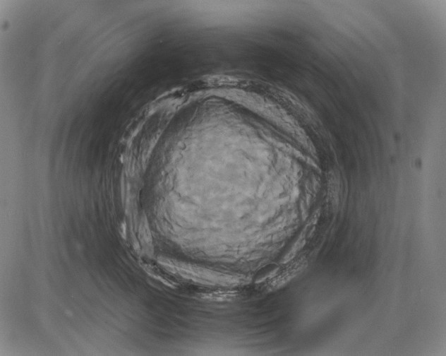 X0000083640761200703051700