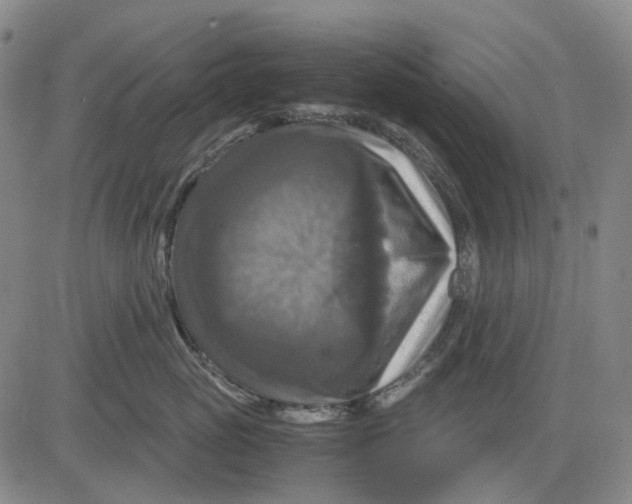 X0000083640765200703051700